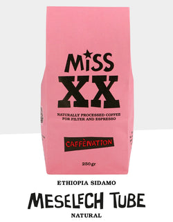 Ethiopia Sidamo MESELECH TUBE Natural - E Roast Date 20 August 2025
