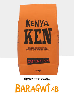 (new crop) KENYA Kirinyaga BARAGWI AB - FILTER - Roast Date 22 July
