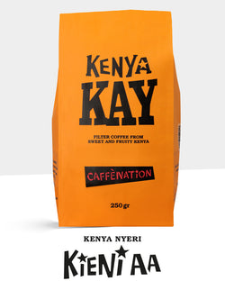 NEW 2025 CROP: Kenya Nyeri KIENI AA - FILTER Roast Date 11 August 2025