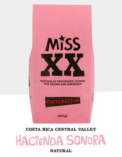 Costa Rica HACIENDA SONORA Villa Sarchi Natural - FILTER Roast Date 22 October 2024